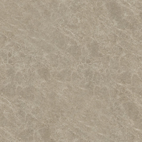 Beige Arena